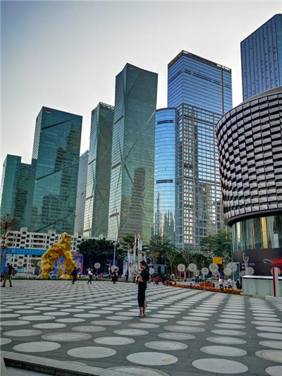 深圳龙岗众合街全套服务的丰富多样性 深圳龙岗众合街全套服务的丰富多样性